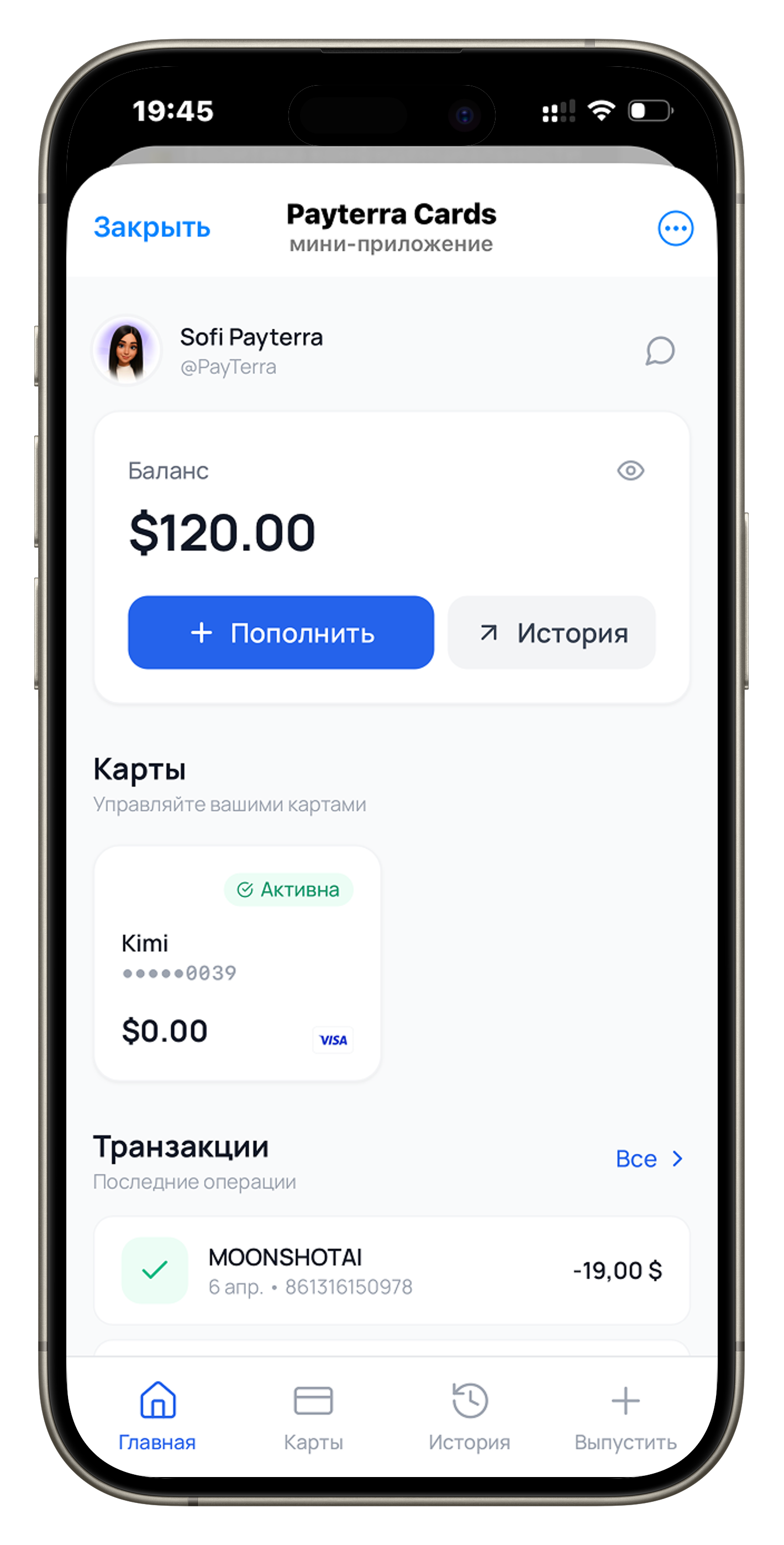 Интерфейс Telegram бота Payterra Cards - баланс, карты и транзакции